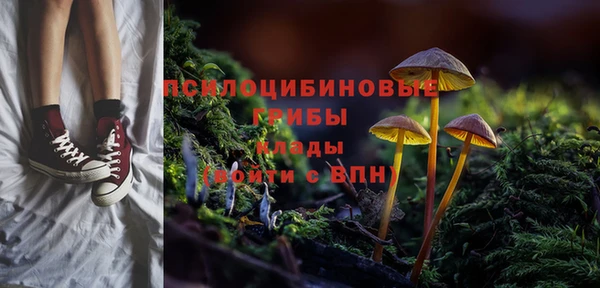 PSILOCYBIN Волоколамск